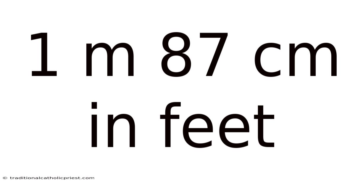 1 M 87 Cm In Feet