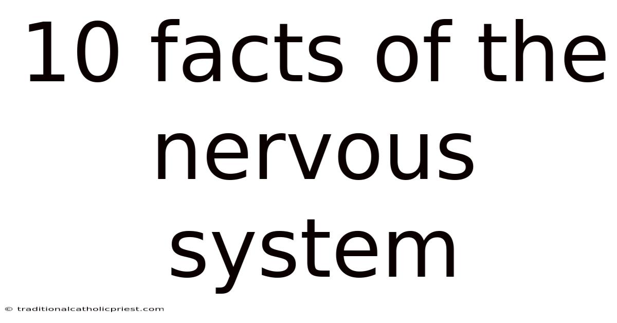 10 Facts Of The Nervous System