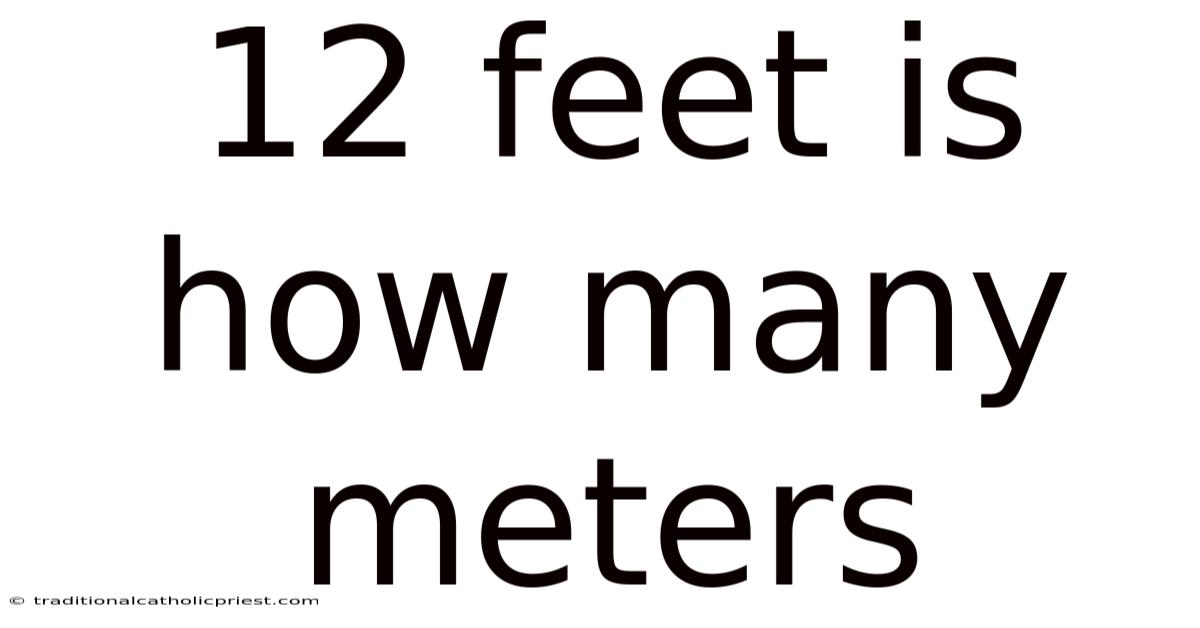 12 Feet Is How Many Meters