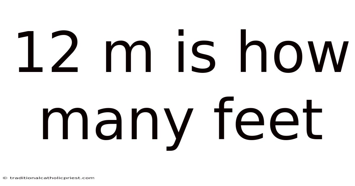 12 M Is How Many Feet