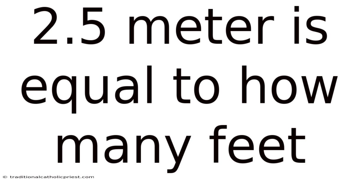 2.5 Meter Is Equal To How Many Feet
