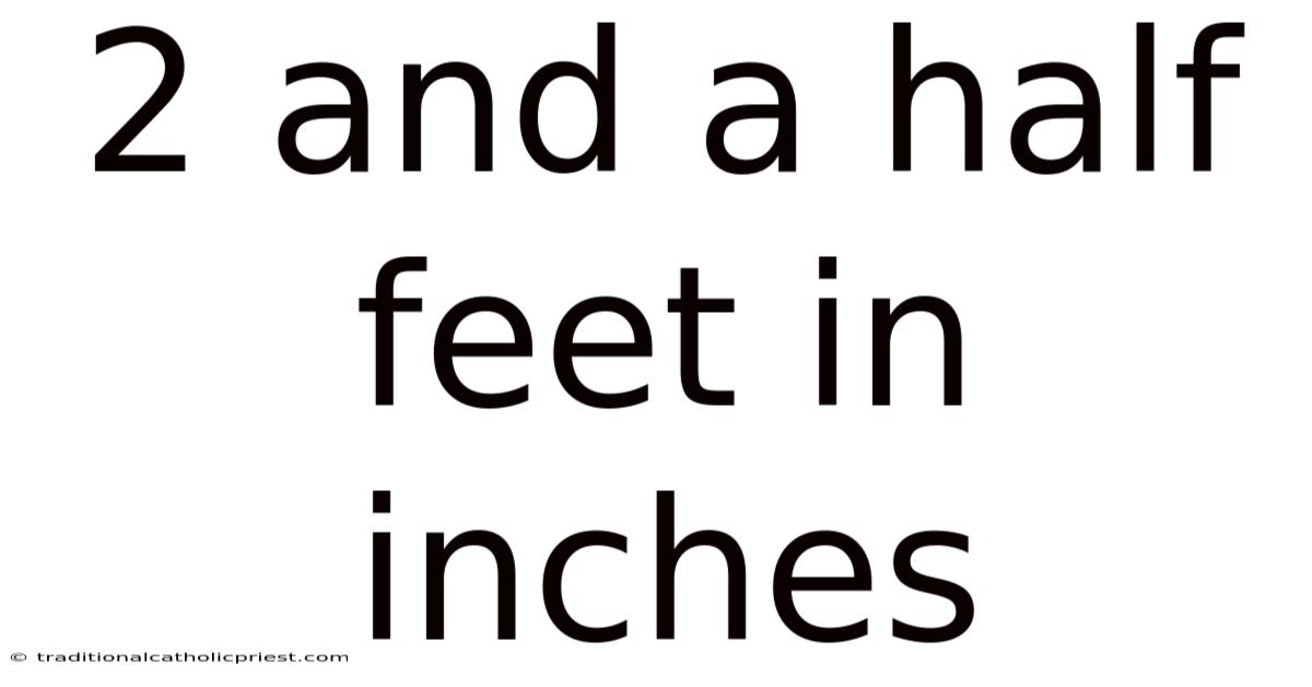 2 And A Half Feet In Inches