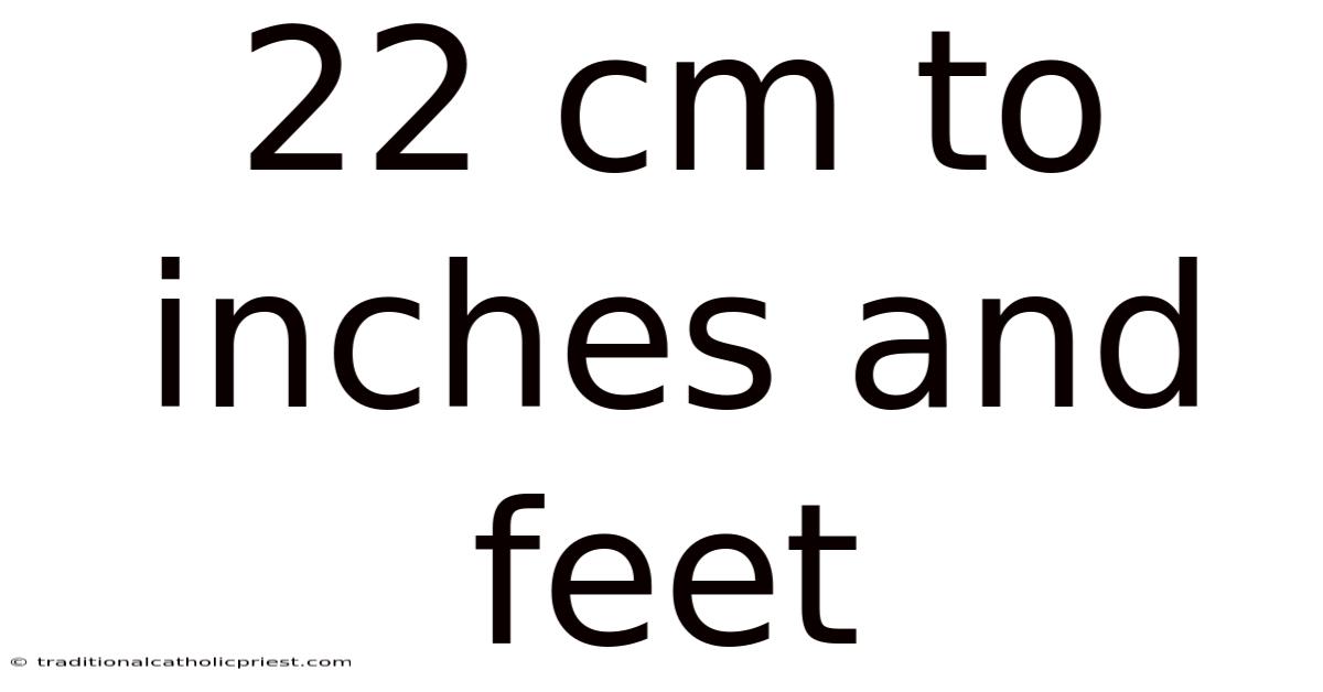 22 Cm To Inches And Feet