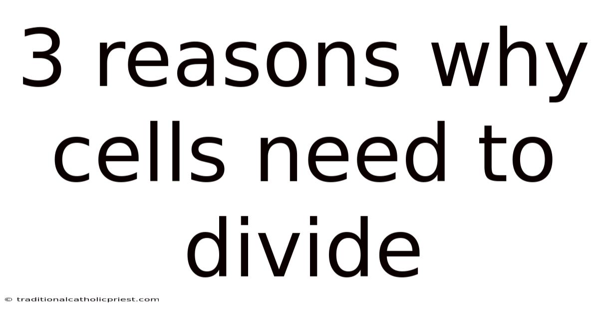 3 Reasons Why Cells Need To Divide