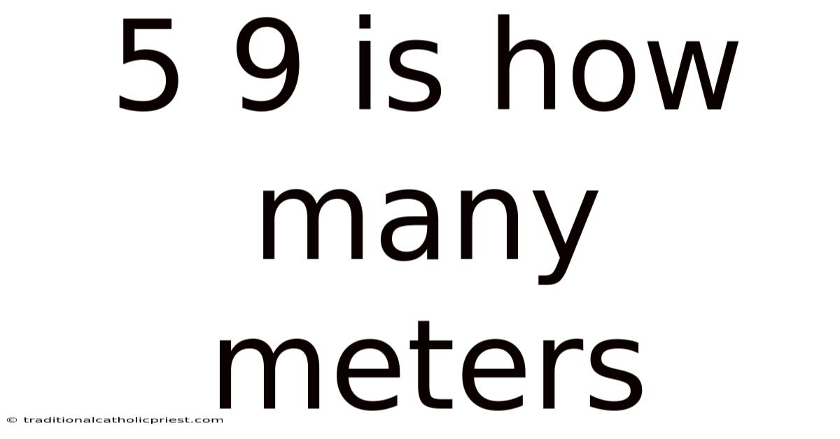 5 9 Is How Many Meters