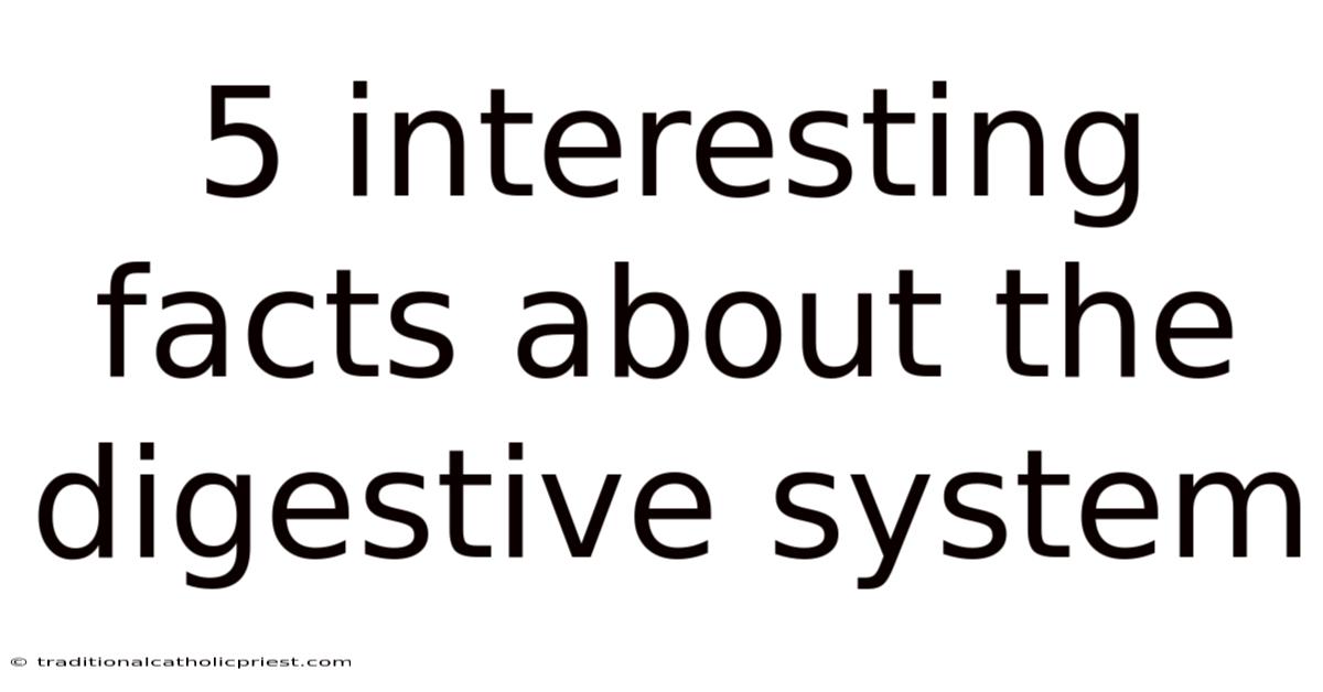 5 Interesting Facts About The Digestive System
