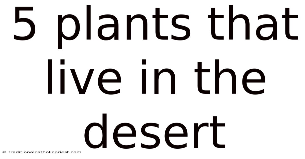 5 Plants That Live In The Desert