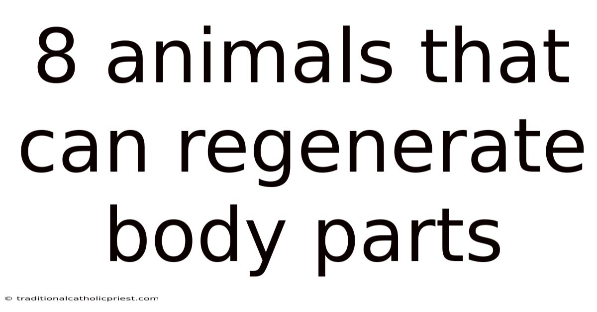 8 Animals That Can Regenerate Body Parts