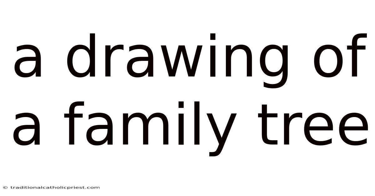 A Drawing Of A Family Tree