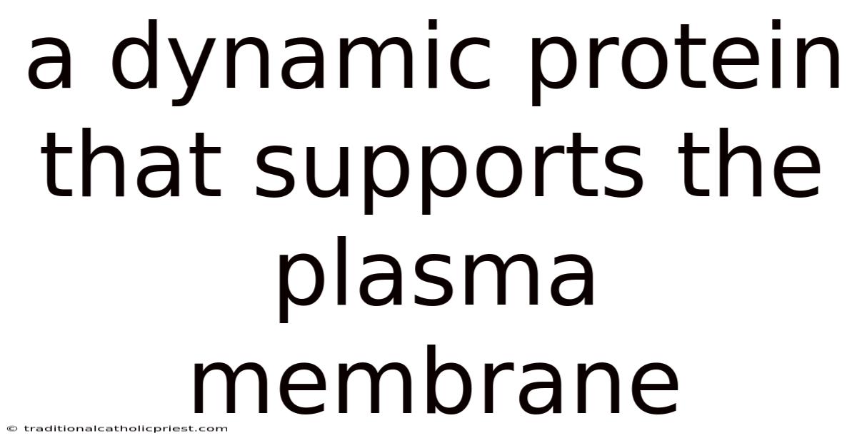 A Dynamic Protein That Supports The Plasma Membrane