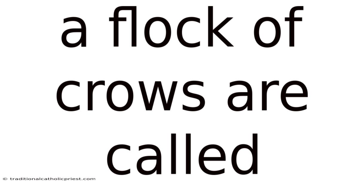A Flock Of Crows Are Called