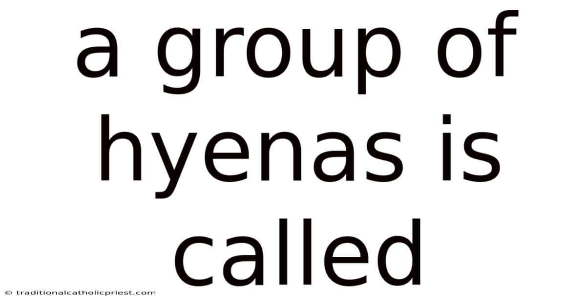 A Group Of Hyenas Is Called