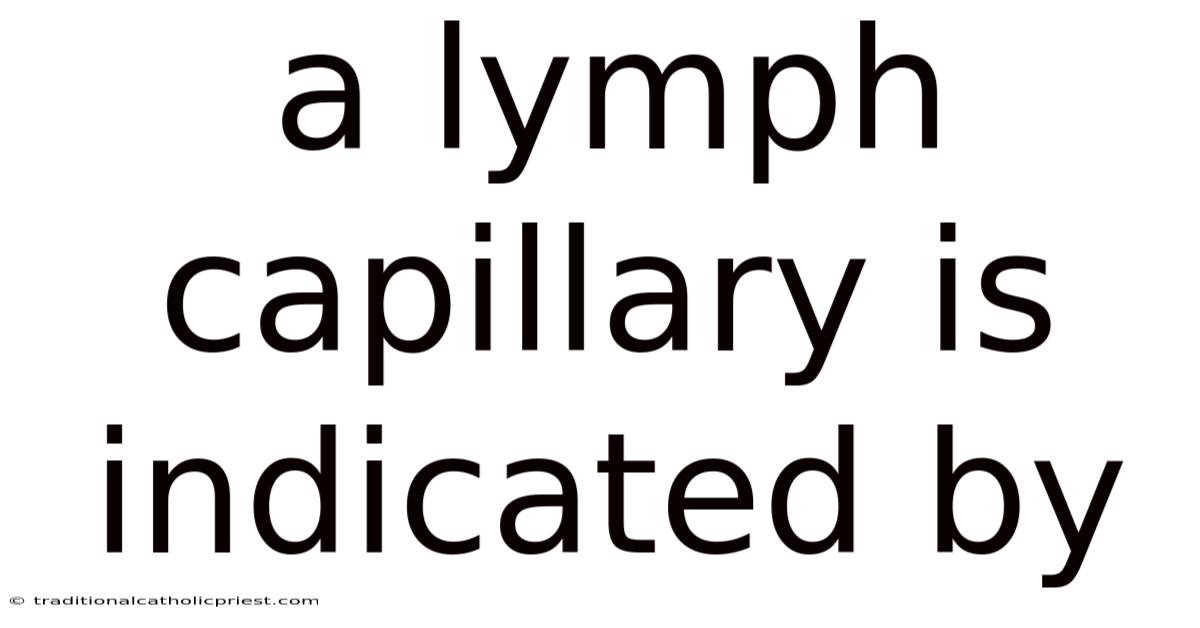 A Lymph Capillary Is Indicated By