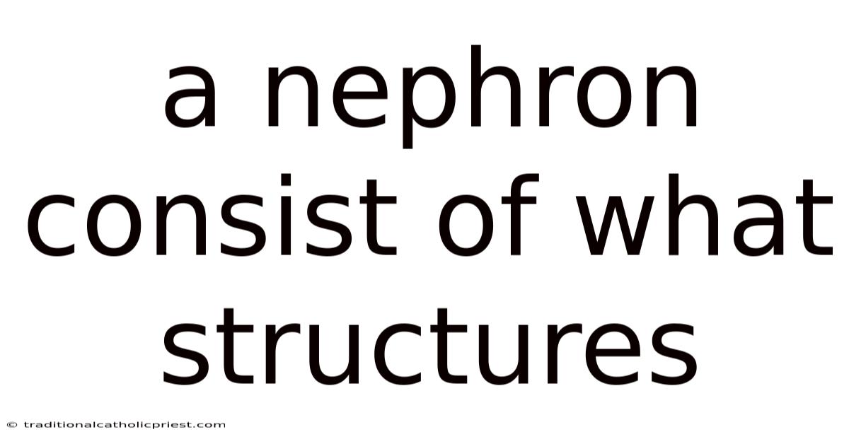 A Nephron Consist Of What Structures