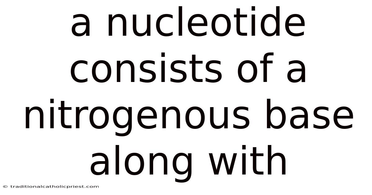 A Nucleotide Consists Of A Nitrogenous Base Along With
