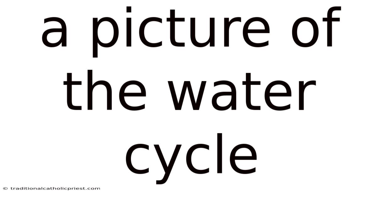 A Picture Of The Water Cycle