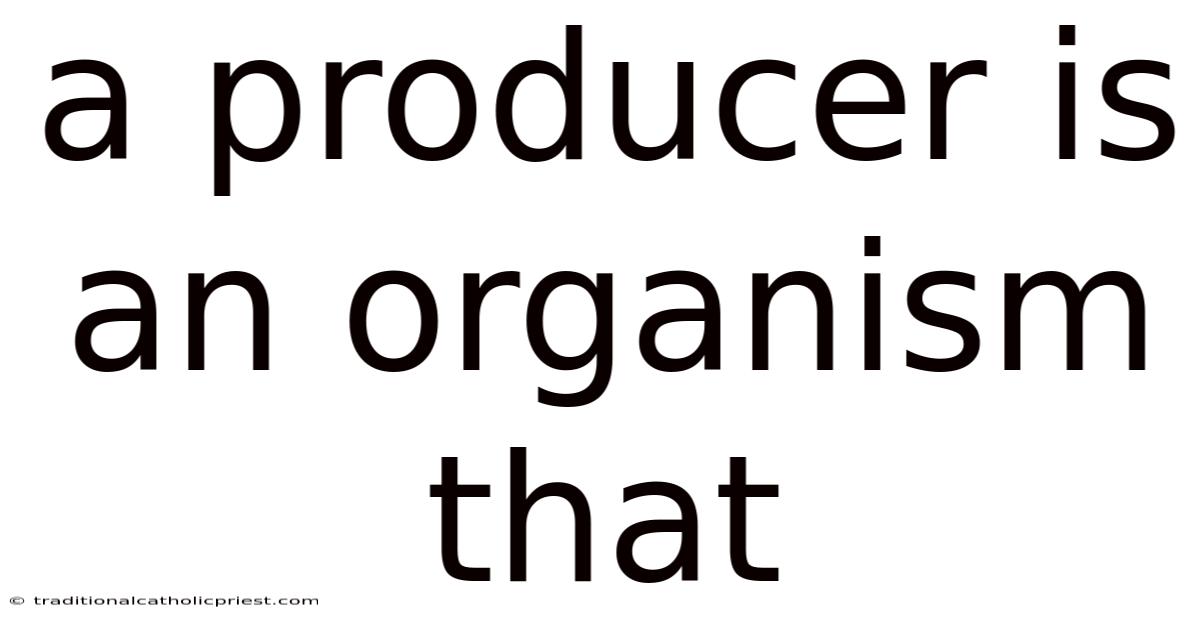 A Producer Is An Organism That