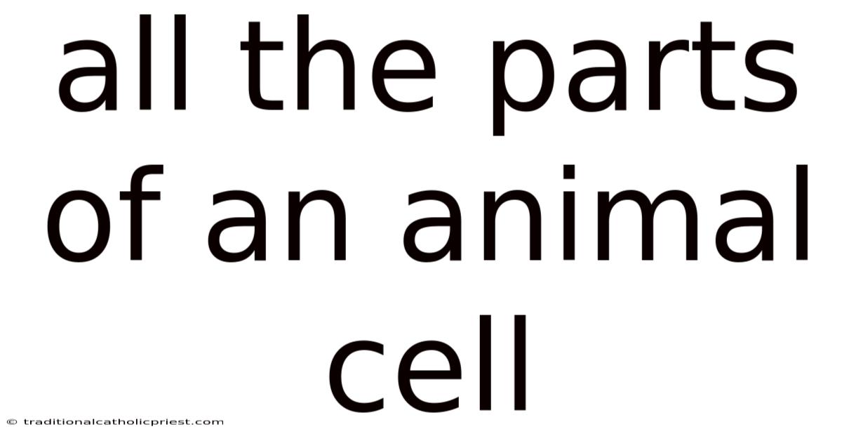 All The Parts Of An Animal Cell