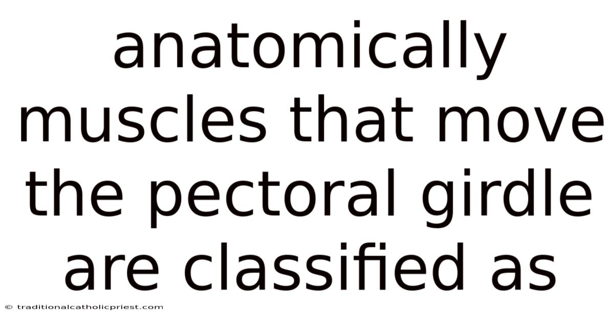 Anatomically Muscles That Move The Pectoral Girdle Are Classified As