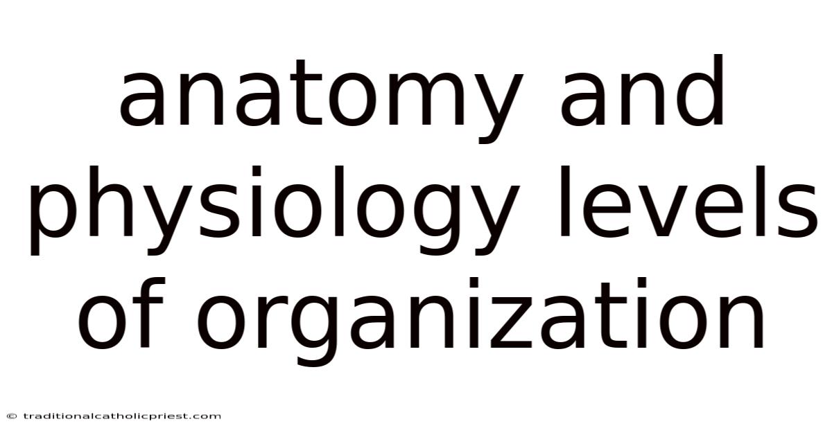 Anatomy And Physiology Levels Of Organization