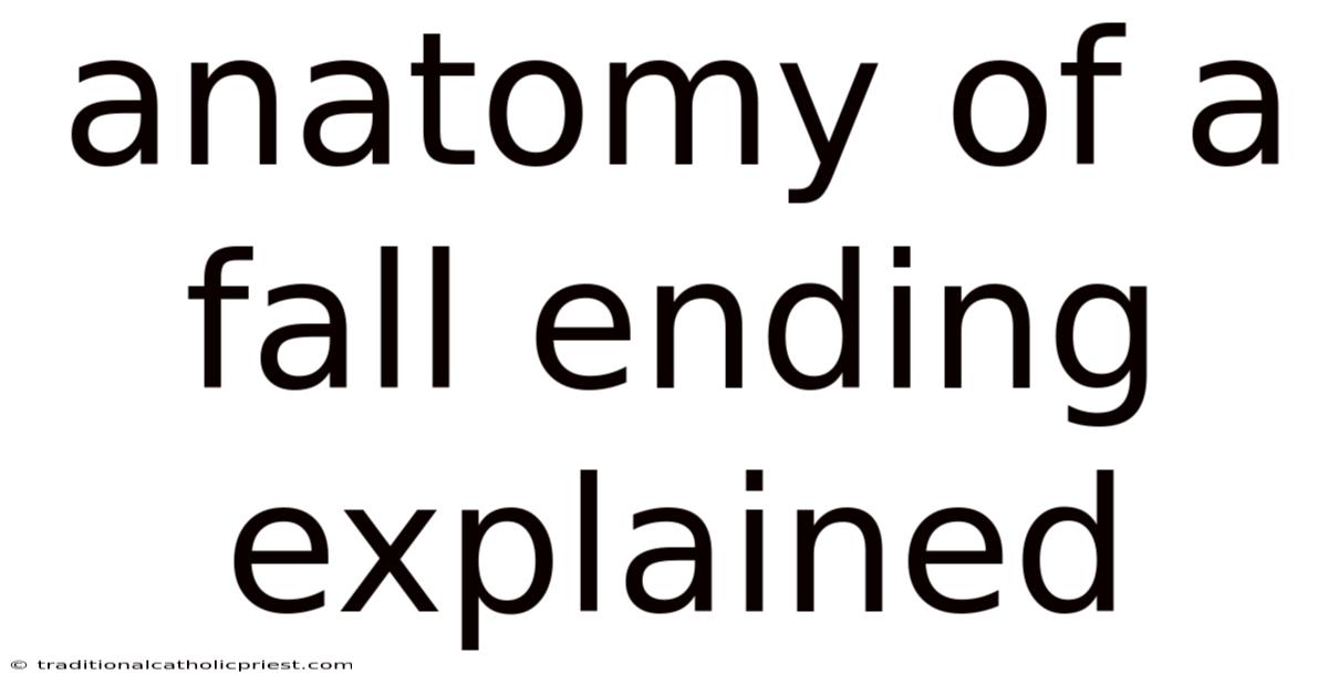 Anatomy Of A Fall Ending Explained