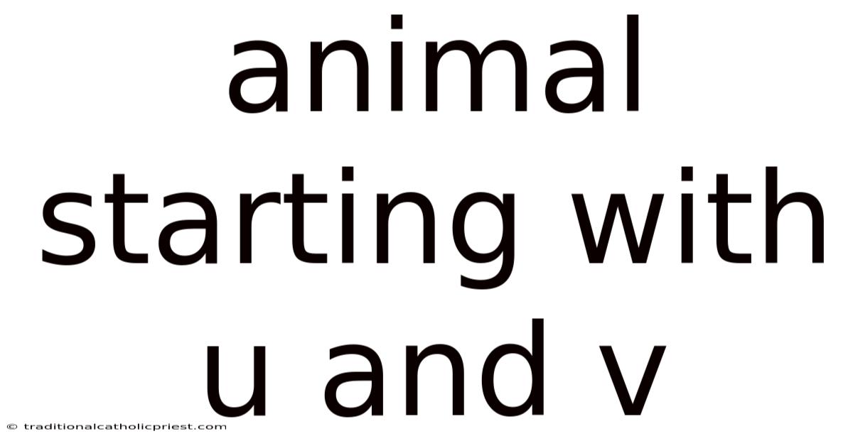 Animal Starting With U And V