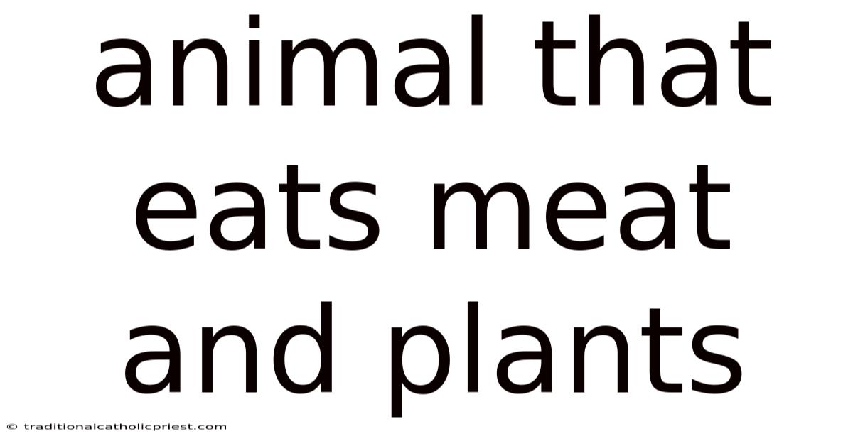 Animal That Eats Meat And Plants
