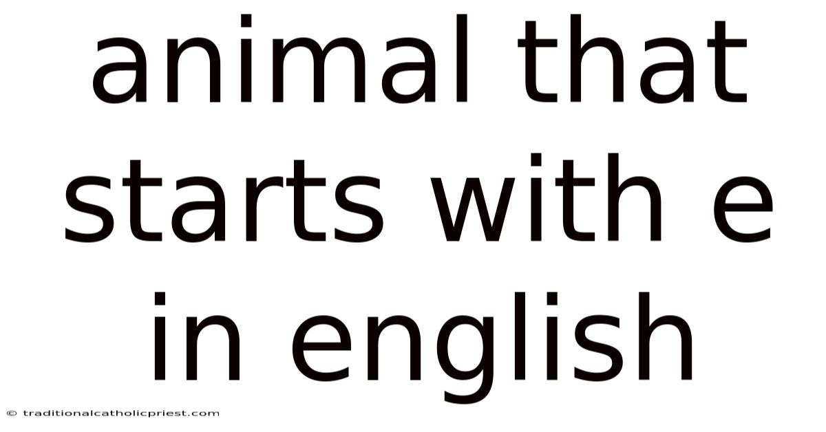 Animal That Starts With E In English