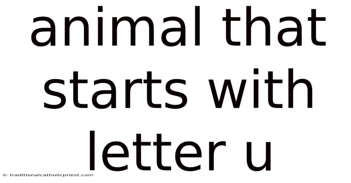 Animal That Starts With Letter U