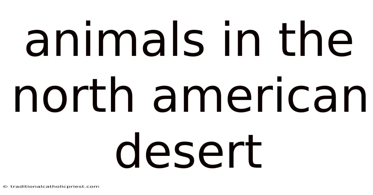 Animals In The North American Desert