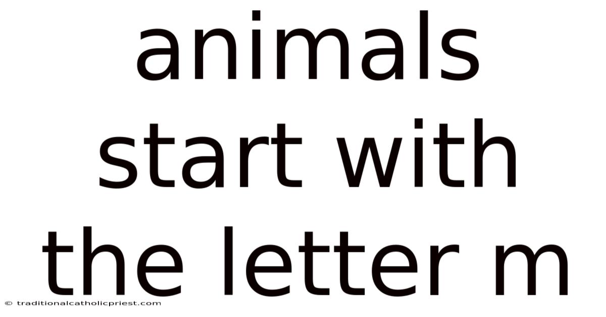 Animals Start With The Letter M