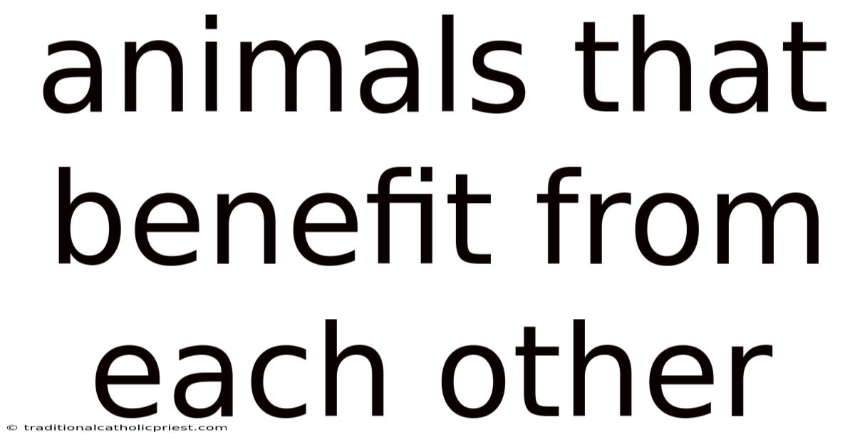 Animals That Benefit From Each Other
