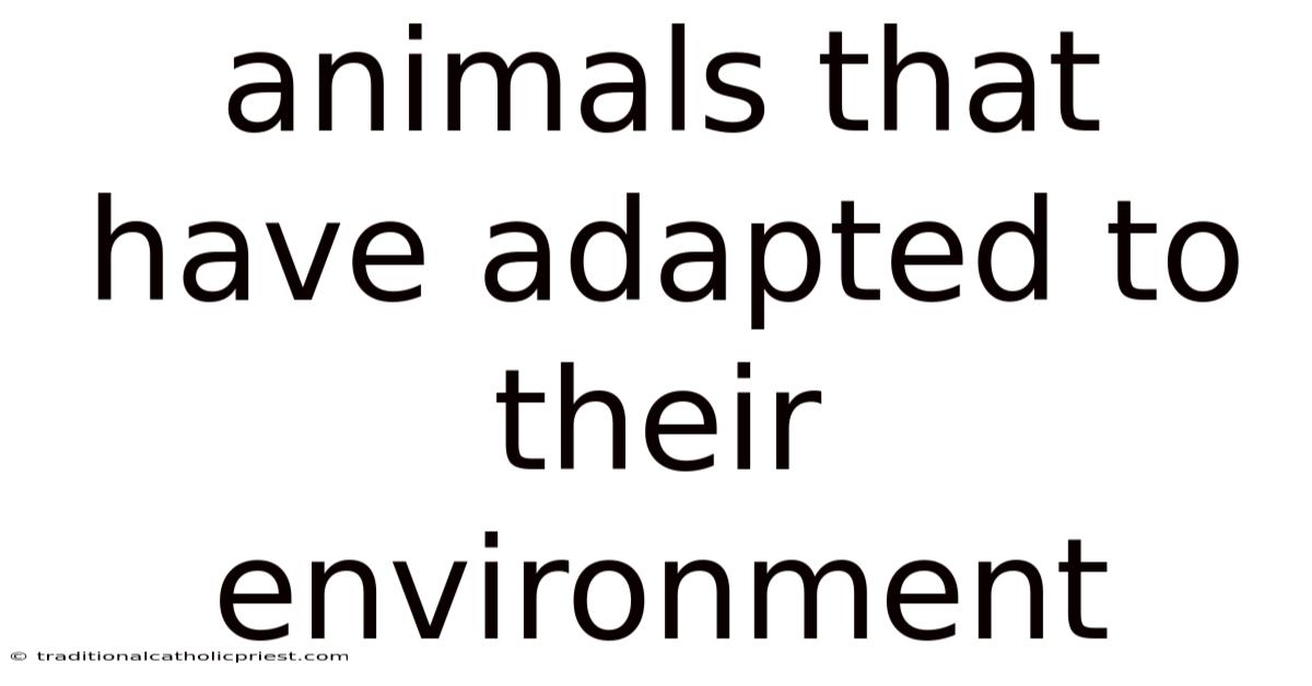 Animals That Have Adapted To Their Environment
