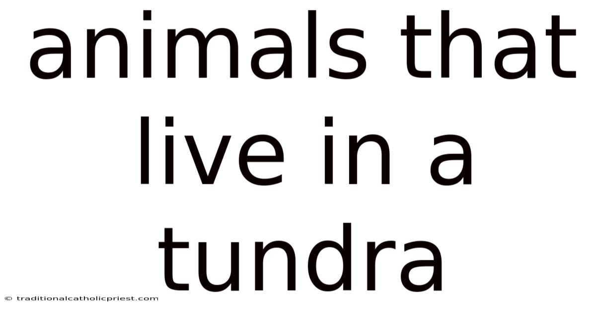 Animals That Live In A Tundra