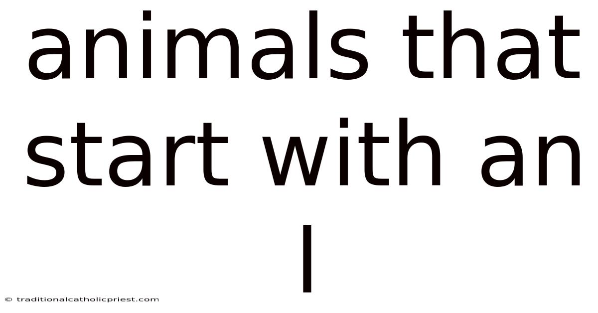 Animals That Start With An L