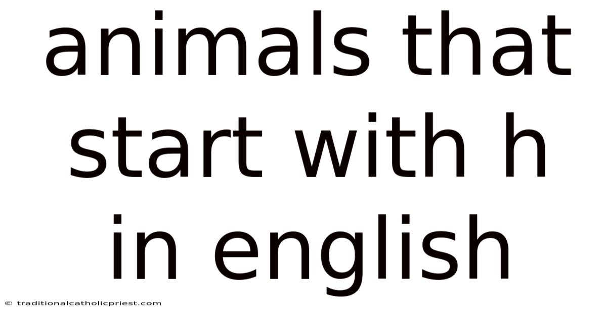 Animals That Start With H In English