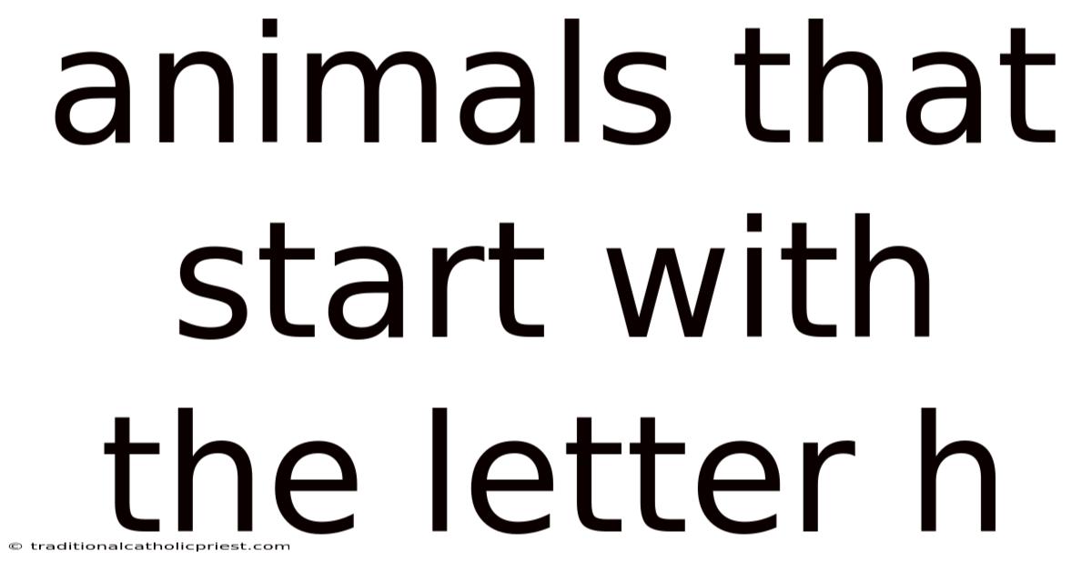 Animals That Start With The Letter H