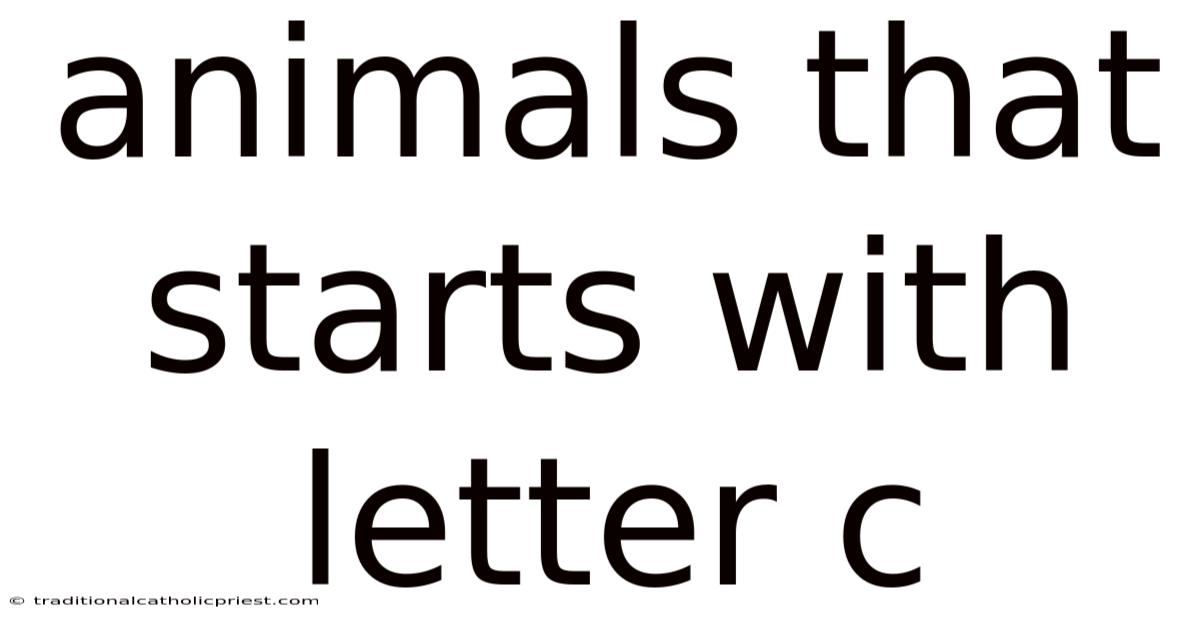 Animals That Starts With Letter C