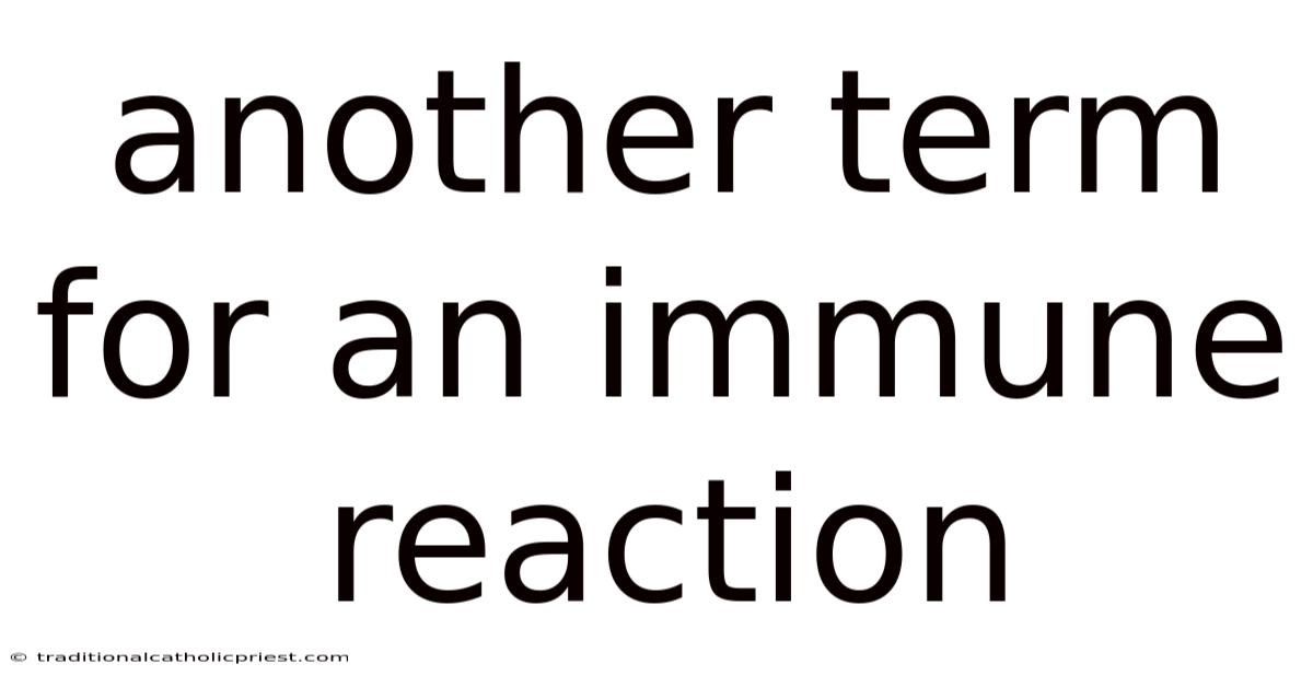 Another Term For An Immune Reaction