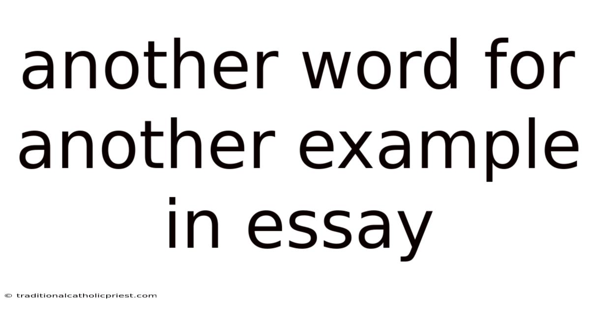 Another Word For Another Example In Essay