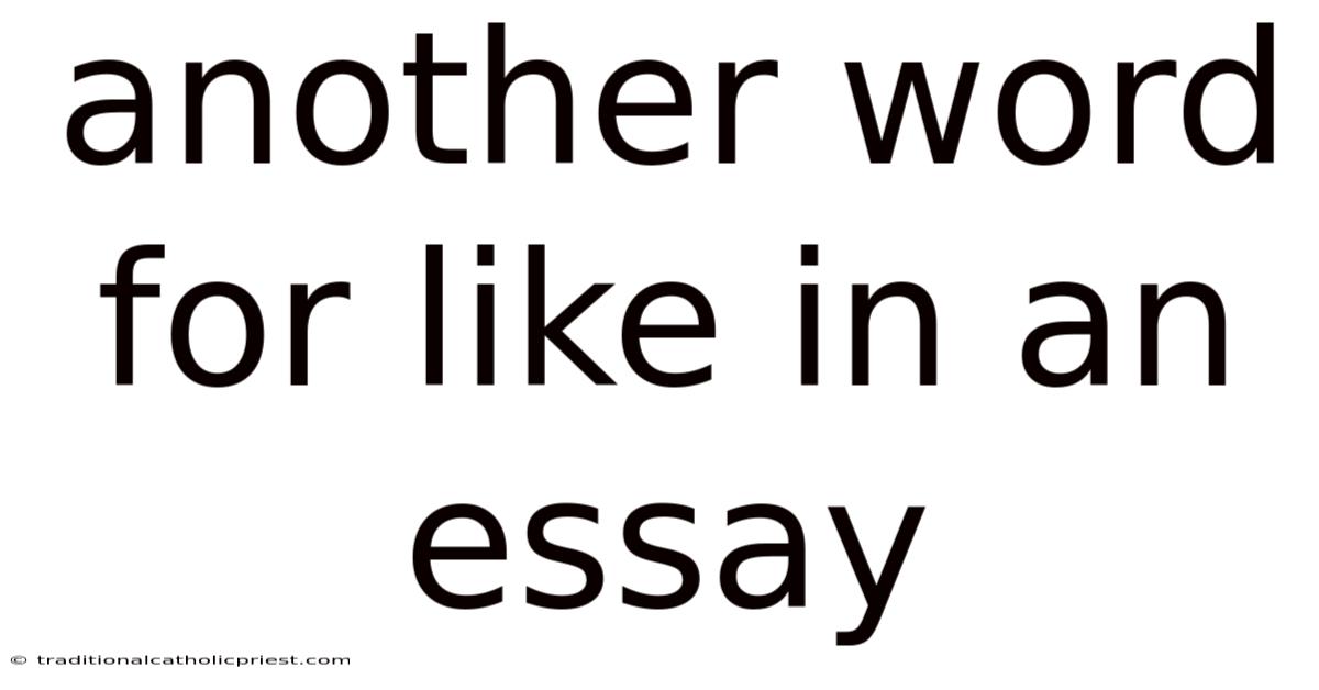 Another Word For Like In An Essay