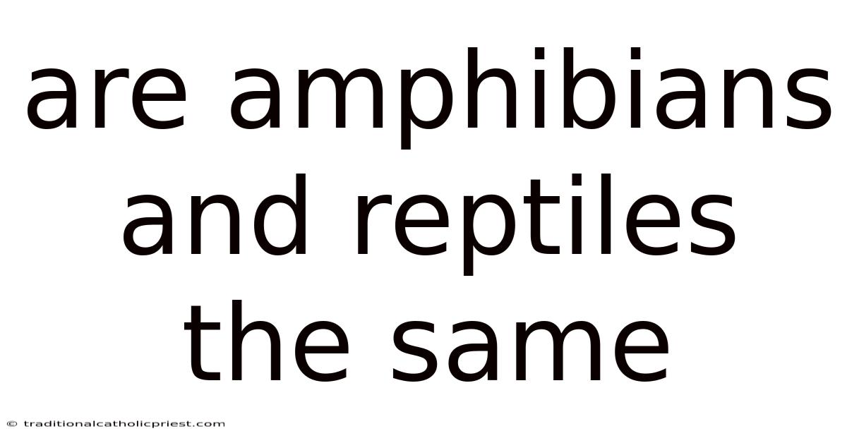 Are Amphibians And Reptiles The Same