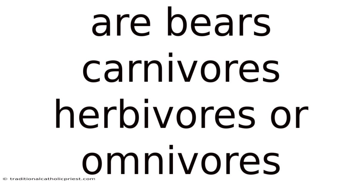 Are Bears Carnivores Herbivores Or Omnivores