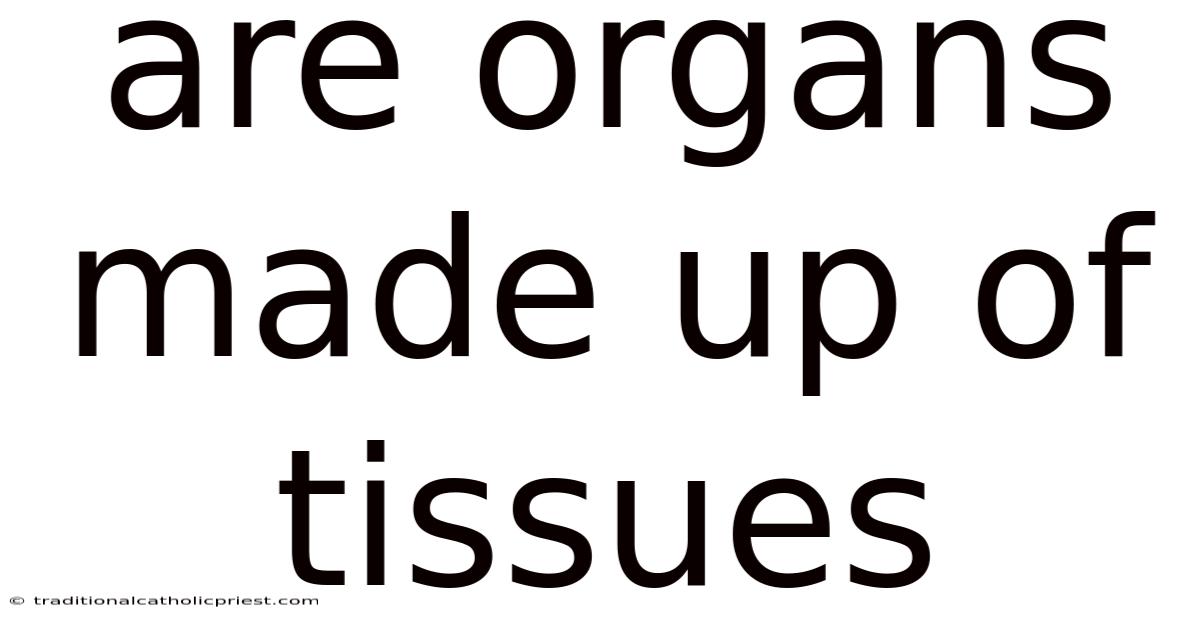 Are Organs Made Up Of Tissues