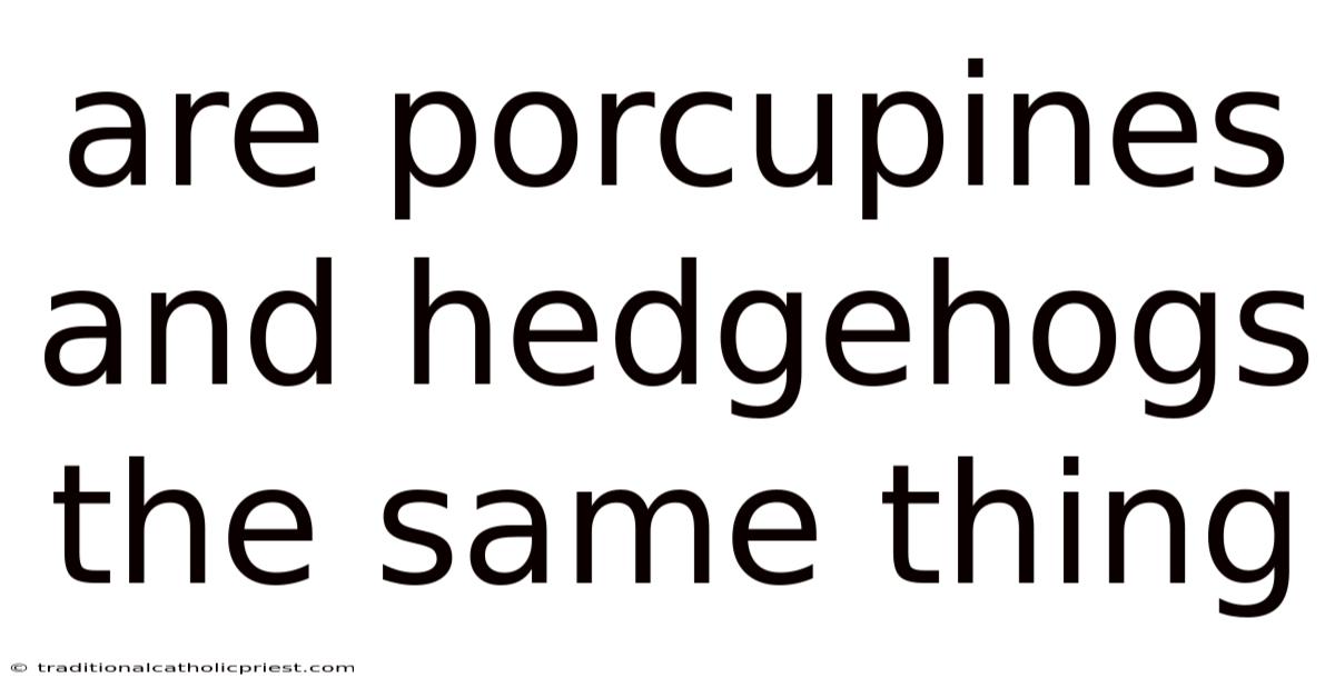Are Porcupines And Hedgehogs The Same Thing