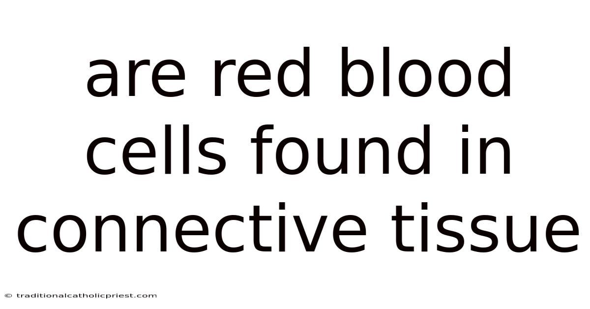 Are Red Blood Cells Found In Connective Tissue