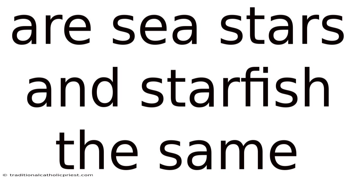 Are Sea Stars And Starfish The Same
