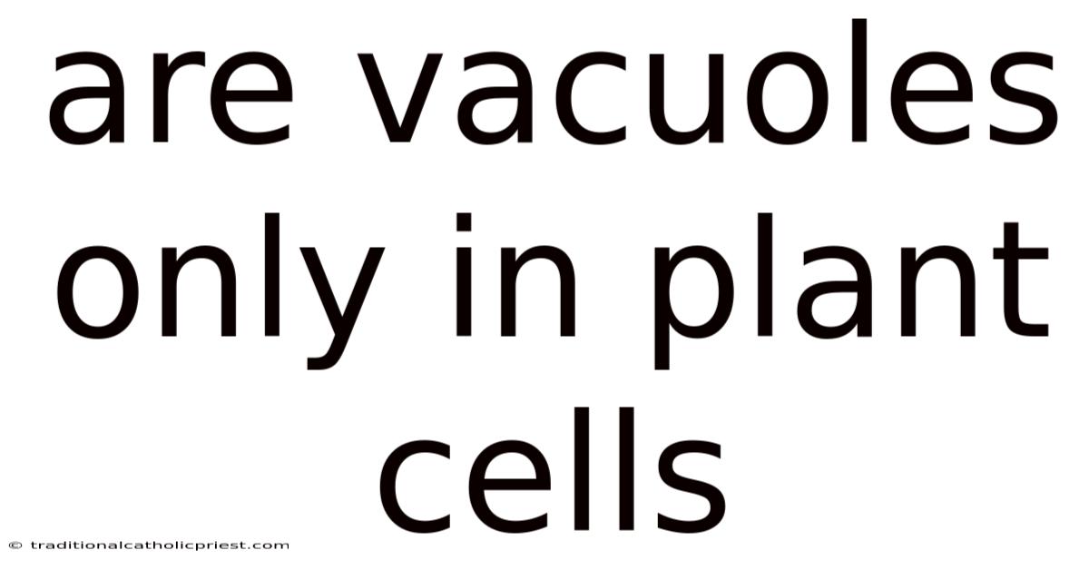 Are Vacuoles Only In Plant Cells