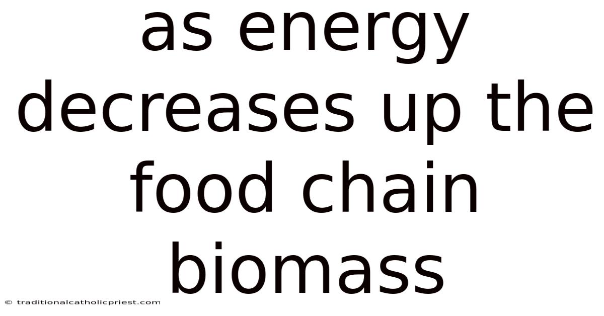 As Energy Decreases Up The Food Chain Biomass
