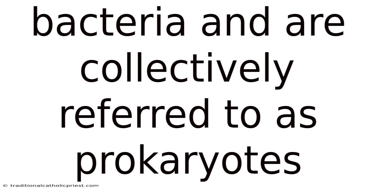 Bacteria And Are Collectively Referred To As Prokaryotes